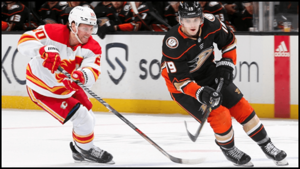 🏒 Anaheim Ducks vs. Calgary Flames at Honda Center ✧ Anaheim, Ca.